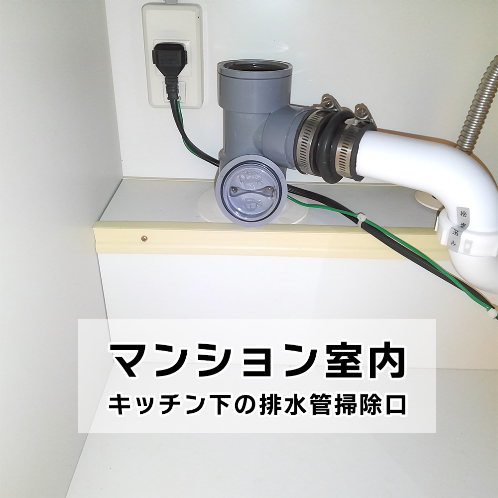 マンション室内 キッチン下の排水管掃除口